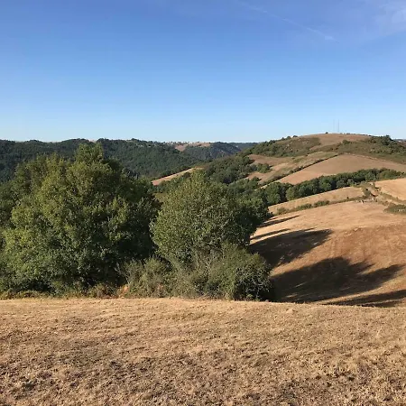 La Merise Appartement Villefranche-dʼAlbigeois