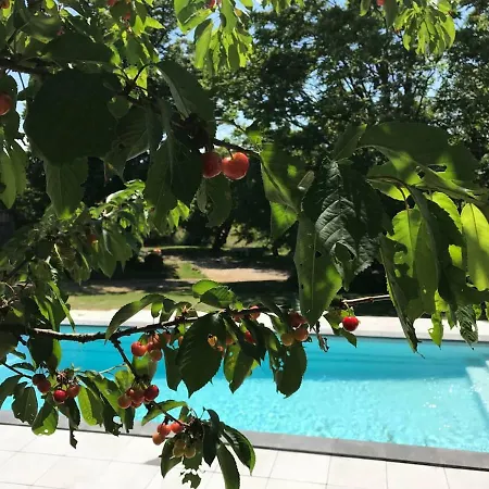 Apartment La Merise