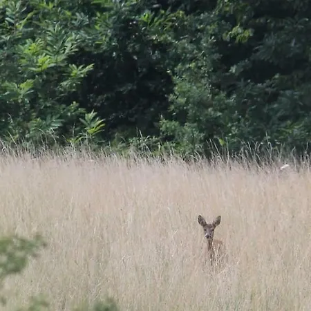 Апартаменты La Merise