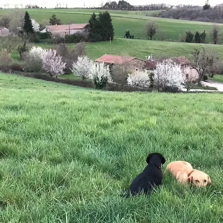 La Merise Appartement