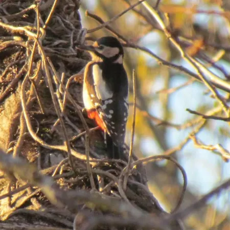 Апартаменты La Merise