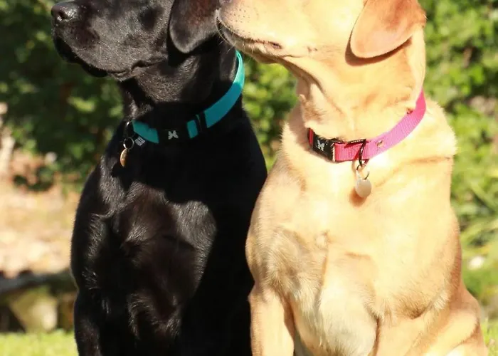 Apartman La Merise Villefranche-dʼAlbigeois